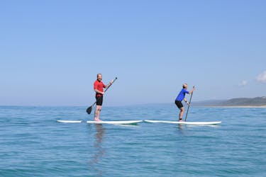 Stand Up paddle wildlife tour and beach 4×4 Noosa day trip